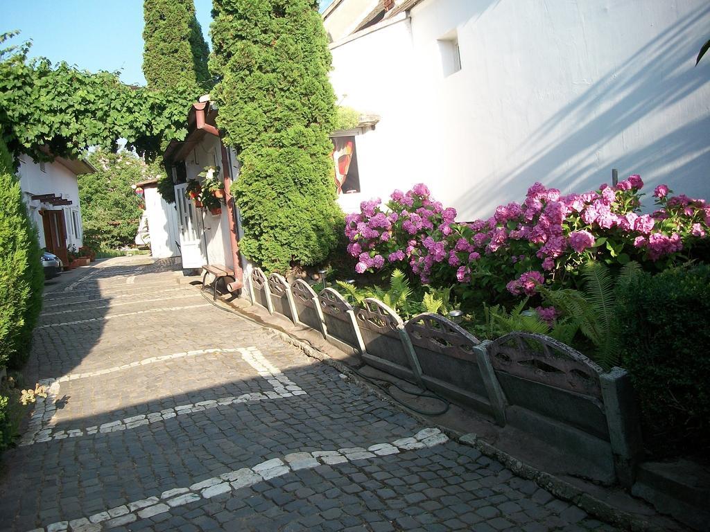 Casa Sara Hotel Sacele Exterior photo